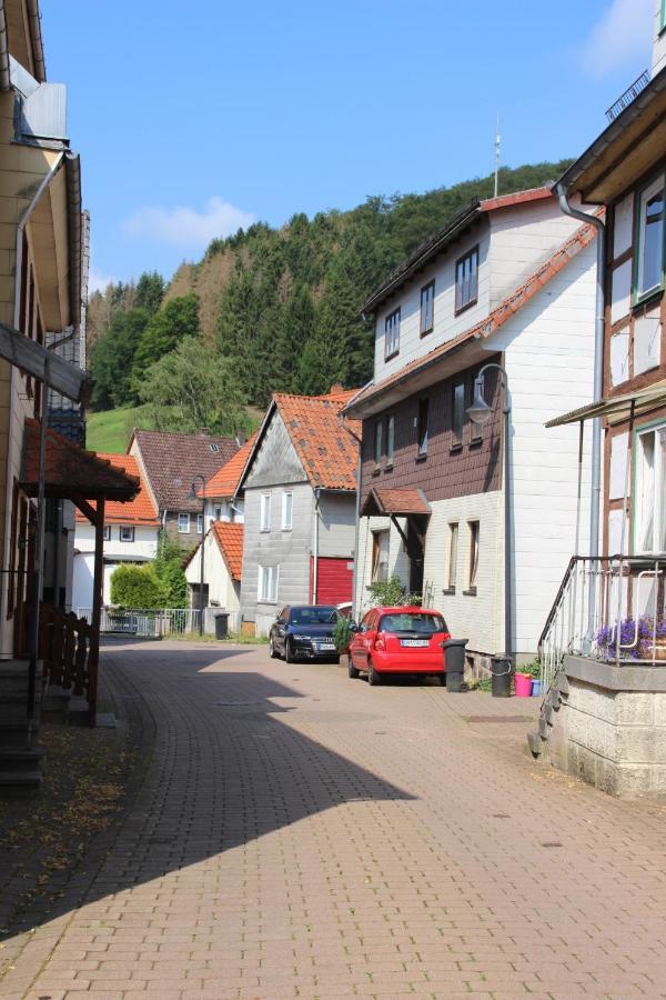 Haus Hirtenbergblick Lonau Eksteriør billede