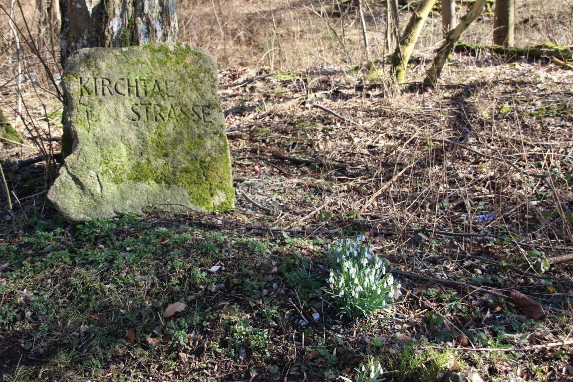 Haus Hirtenbergblick Lonau Eksteriør billede